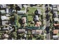 21 Whitney Street, New Windsor, Auckland - Carousel 1