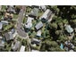20 Dudding Avenue, NORTHCOTE, AUCKLAND - Carousel 1
