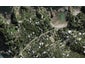 93 Great Barrier Road, Oneroa, Waiheke Island - Carousel 1