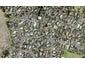 18 Roadley Avenue, Sunnyhills, Auckland - Carousel 1