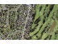 1444A Dominion Road, Mount Roskill, Auckland - Carousel 1