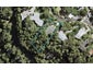 5 Opou Road, Titirangi, Auckland - Carousel 1