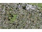 12 Erima Avenue, Point England, Auckland - Carousel 1