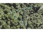 15 Lone Kauri Road, Karekare, Auckland - Carousel 1
