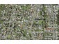 1/19 Ambler Avenue, Glen Eden, Auckland - Carousel 1