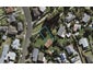 3 Sofs Lane, Mount Wellington, Auckland - Carousel 1