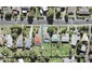 41 Sheridan Drive, New Lynn, Auckland - Carousel 1