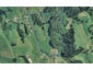 278 Glue Pot Road, Oropi, Tauranga - Carousel 1