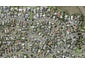 10 Melissa Place, Farm Cove, Auckland - Carousel 1
