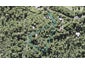 146 Mountain Road, Henderson Valley, Auckland - Carousel 1
