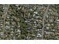 104A Victoria Avenue, Remuera, Auckland - Carousel 1