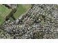 36B Waverley Avenue, Glenfield, Auckland - Carousel 1