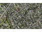 4/88 Webster Avenue, Mount Roskill, Auckland - Carousel 1