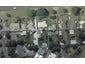 37 Mulgrave Street, Ashhurst, Ashhurst - Carousel 1