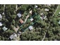 47 Okoka Road, Omiha, Waiheke Island - Carousel 1