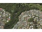 150 Raumanga Valley Road, Raumanga, Whangarei - Carousel 1