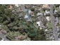 23 Kinross Drive, Merrilands, New Plymouth - Carousel 1
