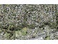 12 Thuja Street, Green Bay, Auckland - Carousel 1
