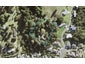 44A Ferry Road, Wade Heads, Whangaparaoa - Carousel 1