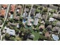 6A Rewi Road, Royal Oak, Auckland - Carousel 1