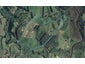 221 Work Road, Aongatete, Katikati - Carousel 1