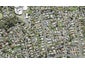 16 Gilliam Street, New Lynn, Auckland - Carousel 1