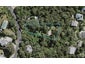 47 Cory Road, Palm Beach, Waiheke Island - Carousel 1