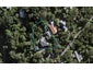 45 Albert Crescent, Ostend, Waiheke Island - Carousel 1
