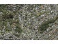 59 Mountbatten Avenue, Hillcrest, Auckland - Carousel 1