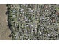 31A McLeod Road, Weymouth, Auckland - Carousel 1