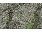 54B Salisbury Road, Birkdale, Auckland - Carousel 1