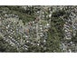 8 Arcadia Crescent, Bayview, Auckland - Carousel 1