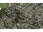 85A Carlton Street, Hillsborough, Auckland - Carousel 1