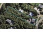 54 Burrell Road, Oneroa, Waiheke Island - Carousel 1