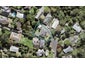 128 Canongate Street, Birkdale, Auckland - Carousel 1