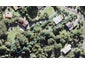 14 Rimu Road, Oratia, Auckland - Carousel 1