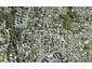 128 Rosier Road, Glen Eden, Auckland - Carousel 1