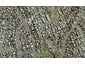 57 Templeton Place, Clendon Park, Auckland - Carousel 1