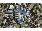 16 Torea Place, Waterview, Auckland - Carousel 1