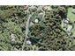 288 Forest Road, WAIATARUA, AUCKLAND - Carousel 1