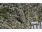 15 Cheval Drive, Totara Vale, Auckland - Carousel 1