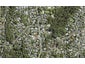 96 Konini Road, Titirangi, Auckland - Carousel 1