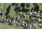 13A Punga Road, Whenuapai, Auckland - Carousel 1