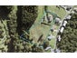 110 Wade River Road, Stanmore Bay, Whangaparaoa - Carousel 1