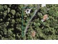 3 Otitori Bay Road, Titirangi, Auckland - Carousel 1