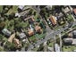 78 Oranga Avenue, Onehunga, Auckland - Carousel 1