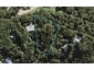 92 Fairview Crescent, Ōmiha, Waiheke Island - Carousel 1