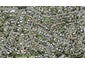106 Lantana Road, Green Bay, Auckland - Carousel 1