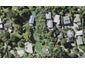 82 Braemar Road, Castor Bay, Auckland - Carousel 1