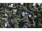 11 Upland Road, Omiha, Waiheke Island - Carousel 1